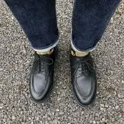 いよかんの画像