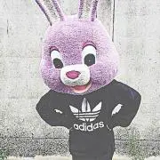 ぴっぴの画像