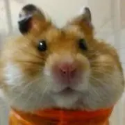 ツカサの画像