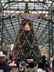 セブンスター　プロフィール必読の画像