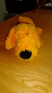rockyの画像
