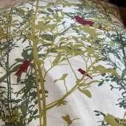 ノンの画像
