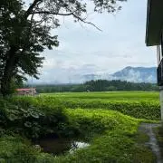 サウチの画像