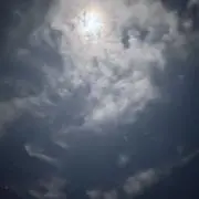 ぎん