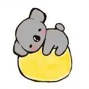 コアラの画像