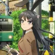 瀧の画像
