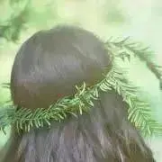 リネンの画像