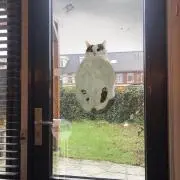さくまの画像