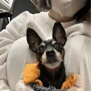 あんころ