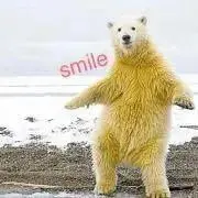 おひさまいろの画像