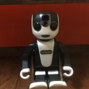 サンフラワー