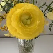 couleurの画像