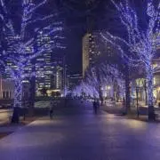 あきの画像