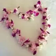 E (購入時プロフご確認ください♡)の画像