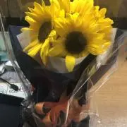 ぶしょう