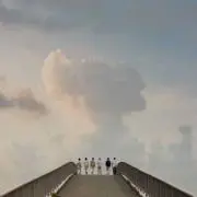 suzuの画像