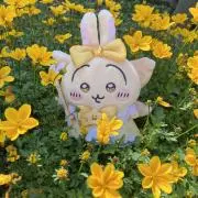 あやみ　プロフ見ていただけると嬉しいですの画像