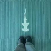 さめの画像
