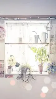 ふぅの画像