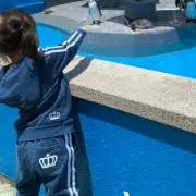 羅依Rai☆