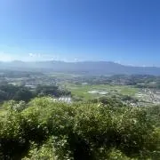 がんちゃんの画像