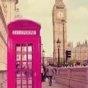 冬秋の画像