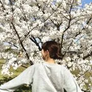 ゆう(*´∀`)♪即購入大歓迎♪の画像