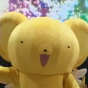 ゆみの画像