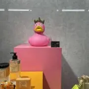 さかなの画像