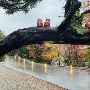 みゆきの画像