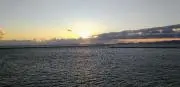 引っ越ぴの画像