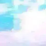 こんぬの画像