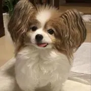まるさんの画像