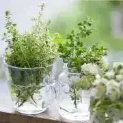 •*¨*nature♩の画像
