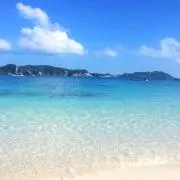 Hiの画像