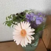 マチ子の画像