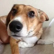 Yoichiの画像