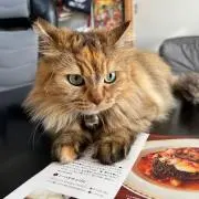 おじょの画像