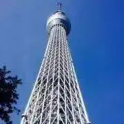 わっさんの画像