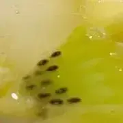 hmの画像