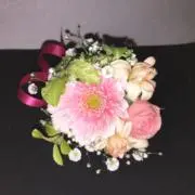 はーいの画像