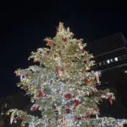 Mの画像