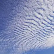 vvvきよたまvvvの画像