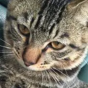 みちゃ プロフ読んでください