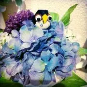 ぴこ