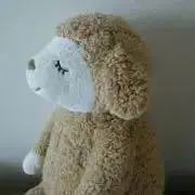 ムスティ♪の画像
