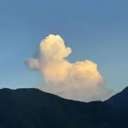 ゆう