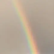 ポケ◎