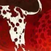 漣 （断捨離熱おん‼︎）の画像