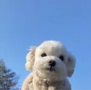 cha@即購入・値下げ交渉okの画像